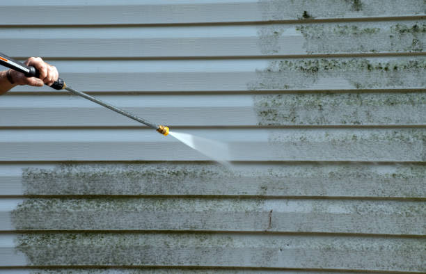 Best Attic Mold Removal  in Redwater, TX